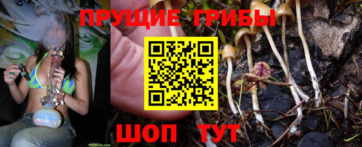 Керчь  Псилоцибиновые грибы Magic Shrooms  Псилоцибиновые грибы Psilocybe  Вход с VPN 
