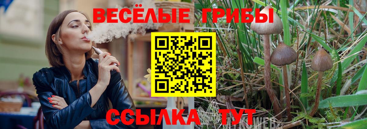 Псилоцибиновые грибы Cubensis Керчь